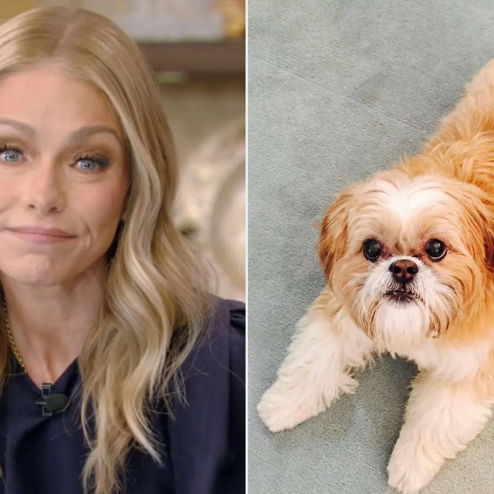 Kelly Ripa and Mark Consuelos Honor Their Beloved Dog Chewie Following His Passing